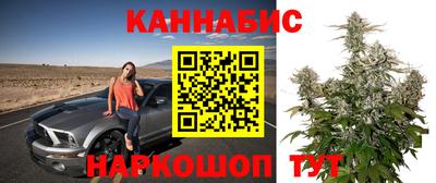 тгк Обь