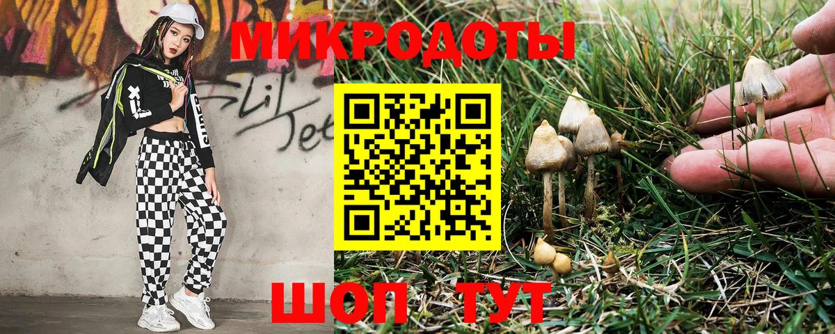 Галлюциногенные грибы мухоморы Трёхгорный